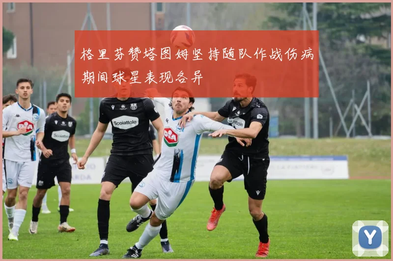 格里芬赞塔图姆坚持随队作战伤病期间球星表现各异